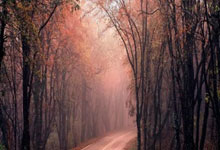 意大利大胜瑞士，实力进一步凸显