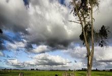 捷克险胜荷兰，双方实力对比明显