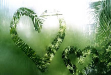 葡萄牙选手勇夺金牌，表现抢眼