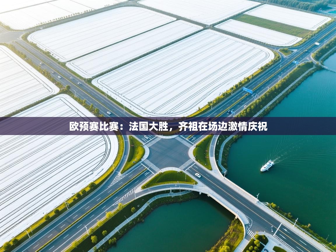 欧预赛比赛：法国大胜，齐祖在场边激情庆祝